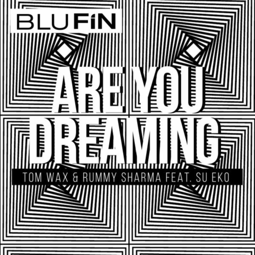 Tom Wax & Rummy Sharma & Su Eko - Are You Dreaming [BF362]